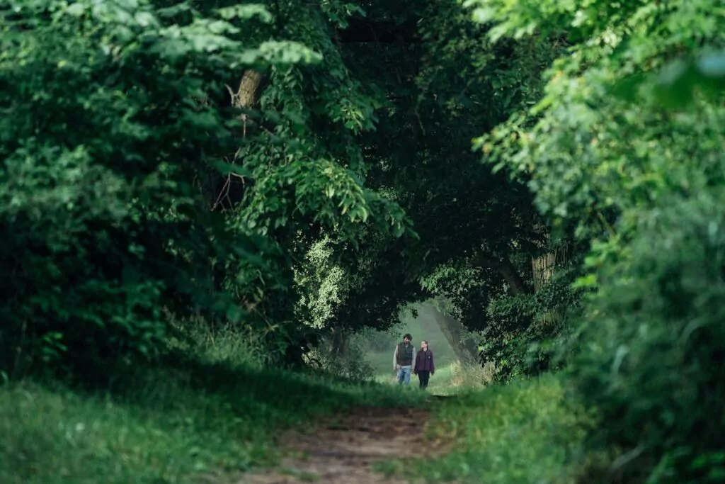 Wandern auf dem Naturparke durch die Mecklenburgische-Schweiz. Foto: TMV/Gänsicke